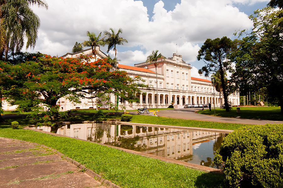 Fundação do GELQ 2026